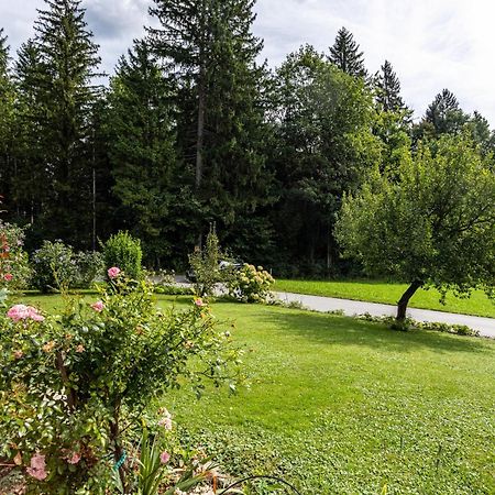 Ferienwohnung Im Haus Stoeckl Angerberg  Экстерьер фото